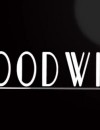Hoodwink – Review