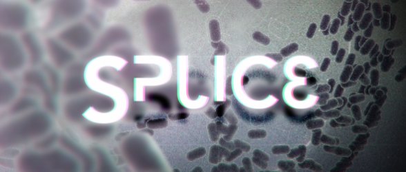 Splice – Review