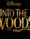 Cinema Release: Into The Woods