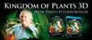 Home Release – Kingdom of Plants