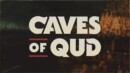 Caves of Qud – Review