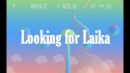 Save your space puppy in Looking for Laika