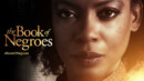 The Book of Negroes (DVD) – Series Review