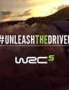WRC 5 eSports tournament announced