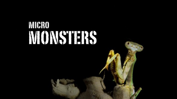 micro monsters