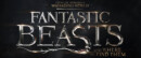 Trailer for Fantastic Beasts and Where to Find Them released