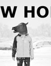 Teaser trailer for Snow Horse released