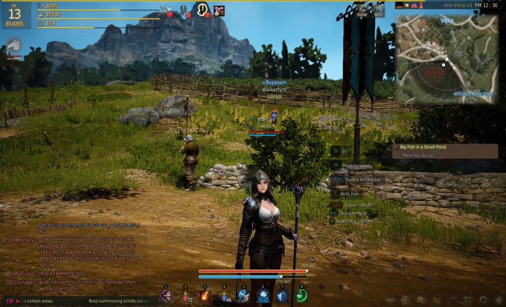 Black Desert Online Gameplay, Black Desert Online Gameplay, By Fantasy  Dude