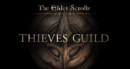 The Elder Scrolls Online: Tamriel Unlimited Thieves Guild DLC – Review