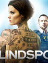 Blindspot: Season 1 (Blu-ray) – Series Review