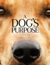 A Dog’s Purpose (DVD) – Movie Review