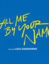 Call Me by Your Name (Blu-ray) – Movie Review