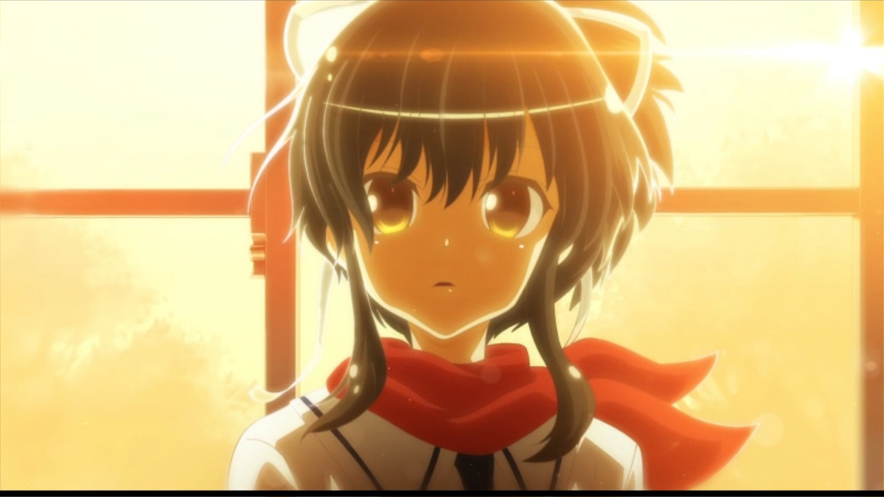 Senran Kagura Reflexions – Review