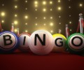 Fun Facts About Bingo Game
