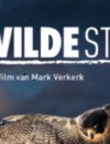 De Wilde Stad (Blu-ray) – Documentary Review