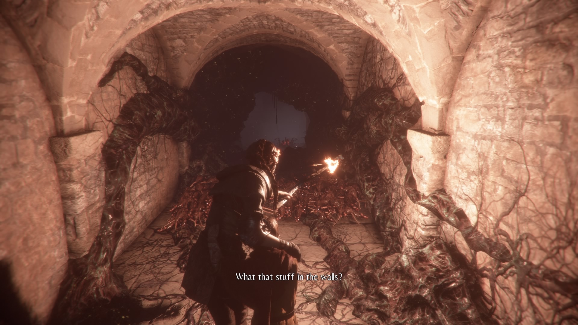 Ramparts of a Medieval City in A Plague Tale: Innocence