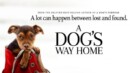 A Dog’s Way Home (Blu-ray) – Movie Review