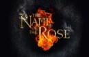 The Name of the Rose – Series Review