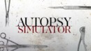 Autopsy Simulator – Review