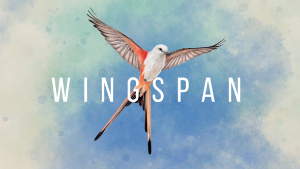 Wingspan Flies Onto The Nintendo Switch Today