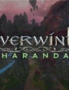 Sharandar expansion is coming to the free MMORPG Neverwinter