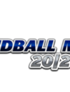 Handball Manager 2021 now available in French and including Steam trading cards