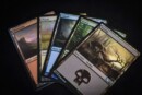 Useful Tips for Organizing Your TCG Cards