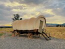 What Did the Oregon Trail Game Teach Us?