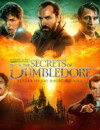 Experience Fantastic Beasts: The Secrets of Dumbledore at home