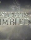 Fantastic Beasts: The Secrets of Dumbledore (4K UHD) – Movie Review