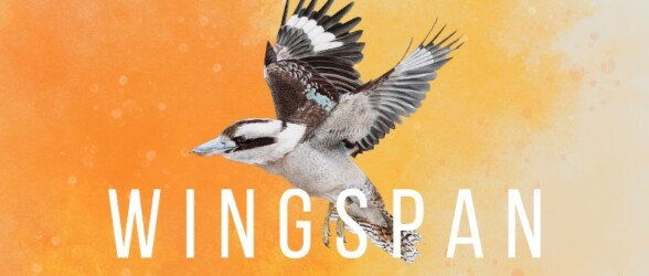 Discover Oceania’s birds with Wingspan’s upcoming new DLC