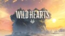 Wild Hearts – Review