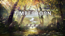 Timberborn – Preview