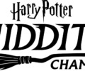 Return to the Wizarding World once again with Quidditch Champions!