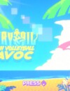 Fairy Tail Beach Volleyball Havoc – Review