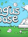 Tingus Goose – Review