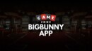 Assessing the Bigbunny App: Will It Meet Your Gaming Expectations?